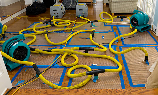 Professional Crawl Space Water Removal technician working in Concordia, MO